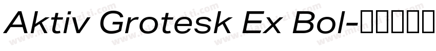 Aktiv Grotesk Ex Bol字体转换